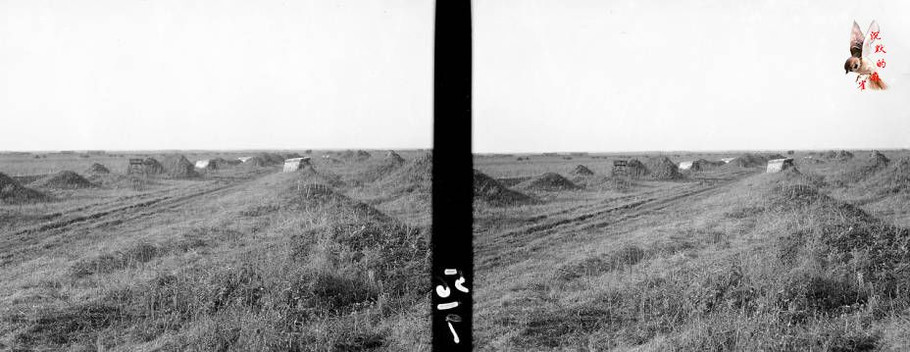 立体老照片：三十年代初的阿城、海伦、呼兰、一面坡 - 沉默的麻雀 - 沉默的麻雀的博客