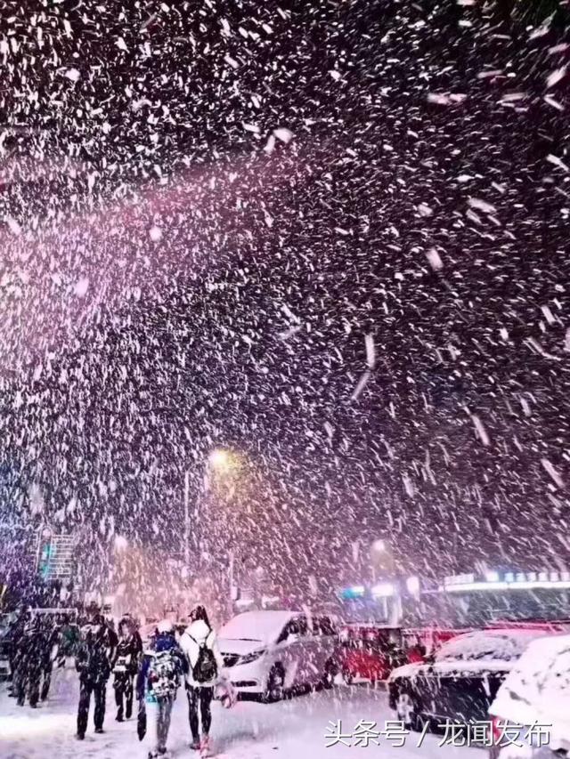 哈尔滨下雪了，空气特清新 ！美景，  如童话般的世界